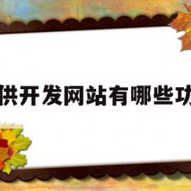 提供开发网站有哪些功能(开发一个网站需要哪些技术)