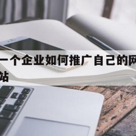 一个企业如何推广自己的网站(怎么推广自己的公司网站)