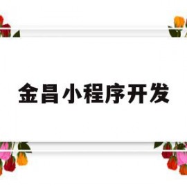 金昌小程序开发(金昌小程序开发公司)