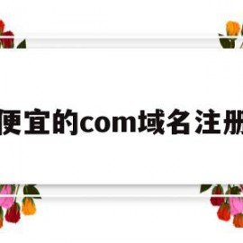 便宜的com域名注册(便宜的com域名注册多少钱)