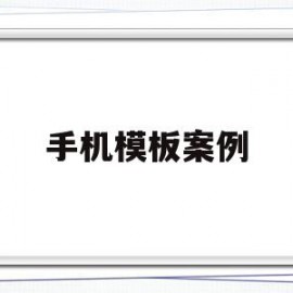 手机模板案例(手机案例分析报告)