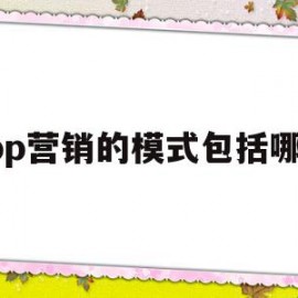 app营销的模式包括哪些(app营销的特点及运营模式)