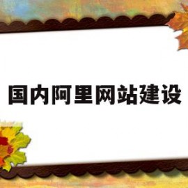 国内阿里网站建设(建阿里巴巴网站多少钱)