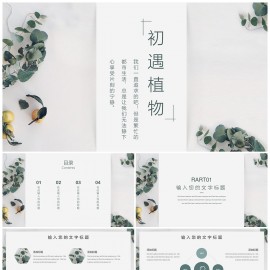 小清新文艺工作计划模板下载