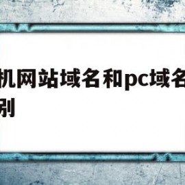 手机网站域名和pc域名的区别(手机网站域名和pc域名的区别在哪)