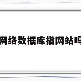 网络数据库指网站吗(网络数据库的评价指标不包括)