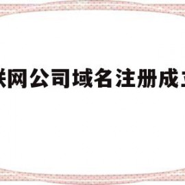 互联网公司域名注册成立公司(公司域名注册方面有什么规定和特点)