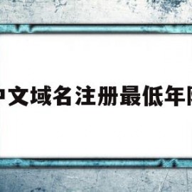 中文域名注册最低年限(中文域名注册最低年限是多少)