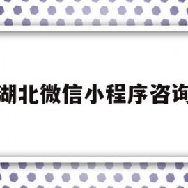 湖北微信小程序咨询(湖北微信小程序咨询电话号码)