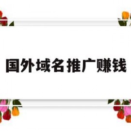 国外域名推广赚钱(国外域名注册商哪个好)