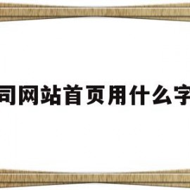 公司网站首页用什么字体(公司网站首页用什么字体好看)