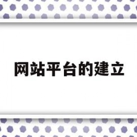 网站平台的建立(网站平台的建立方式)