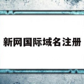 新网国际域名注册(新网国际域名注册流程)