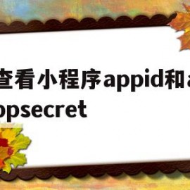 查看小程序appid和appsecret的简单介绍
