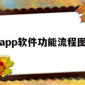 app软件功能流程图(app软件功能流程图怎么做)
