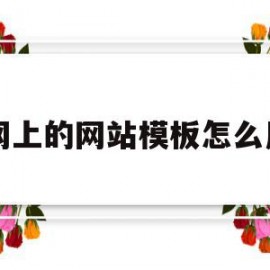 网上的网站模板怎么用(网上的网站模板怎么用的)