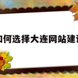如何选择大连网站建设(大连网站建设公司排名)