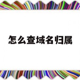 怎么查域名归属(如何查域名归属)