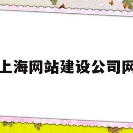 上海网站建设公司网(上海网站建设公司网址查询)