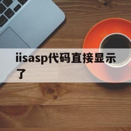 iisasp代码直接显示了的简单介绍
