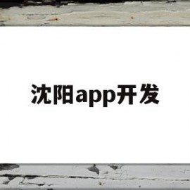 沈阳app开发(沈阳app开发多少钱)
