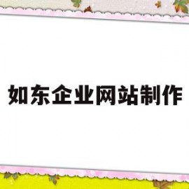 如东企业网站制作(公司企业网站制作视频教程)