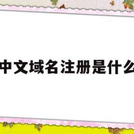 中文域名注册是什么(中文域名注册是什么意思)