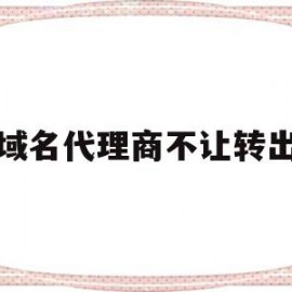 域名代理商不让转出(域名代理服务是什么意思)