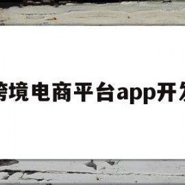 跨境电商平台app开发(跨境电商平台app开发流程)