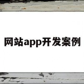 网站app开发案例(现在开发app的网站都有什么)