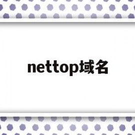 nettop域名(nettoplcsims7o)