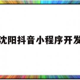 沈阳抖音小程序开发(沈阳抖音小程序开发招聘信息)