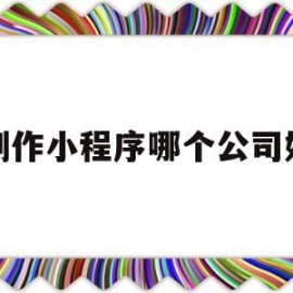 制作小程序哪个公司好(制作小程序哪个公司好)
