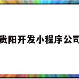 贵阳开发小程序公司(贵阳开发小程序公司有哪些)