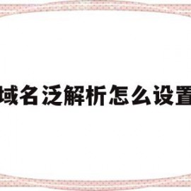 域名泛解析怎么设置(泛解析二级不死域名制作)