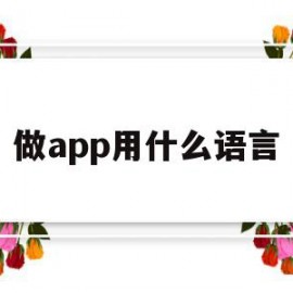 做app用什么语言(app用什么开发语言)