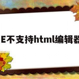 IE不支持html编辑器(当代艺术旧物装置)