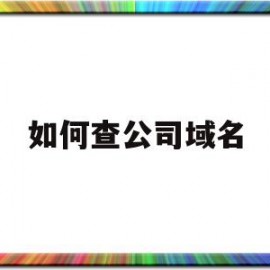 如何查公司域名(怎么查公司的域名)