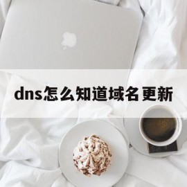 dns怎么知道域名更新(dns怎么知道域名更新成功)