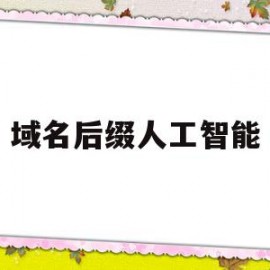 域名后缀人工智能(域名中的后缀gov)