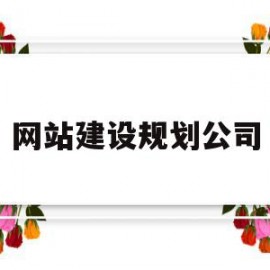网站建设规划公司的简单介绍