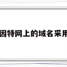因特网上的域名采用(因特网中的域名呈结构)