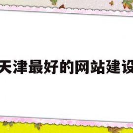 天津最好的网站建设(天津最好的网站建设公司排名)