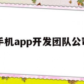 手机app开发团队公司(手机app开发团队公司名称)
