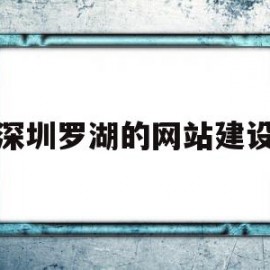 深圳罗湖的网站建设(深圳市罗湖区有哪些网络公司)
