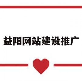 益阳网站建设推广(益阳网络推广总监招聘)