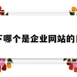 以下哪个是企业网站的目的(企业网站一般是企业以什么为目的)