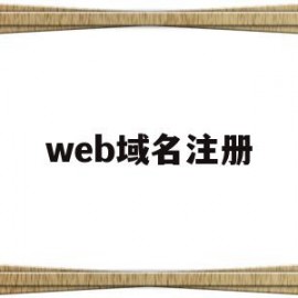 web域名注册(web域名注册怎么看)