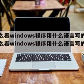 怎么看windows程序用什么语言写的（怎么看windows程序用什么语言写的字）