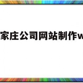 石家庄公司网站制作wsjz(现在石家庄做网站的公司有哪几家)